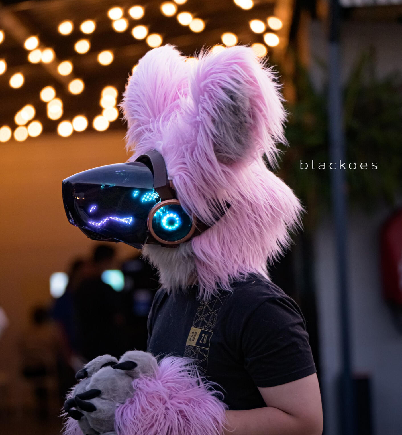 miathethickwolf (discord)